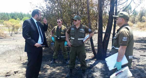 Investigan las causas del incendio forestal registrado en Bulnes - La Discusión (Comunicado de prensa) (Suscripción) (blog)
